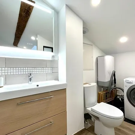 Apartamento Le Duplex De Barres Aux Portes De La Place Stanislas